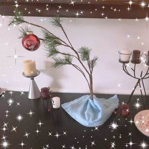 Meet your Posher, Dominic